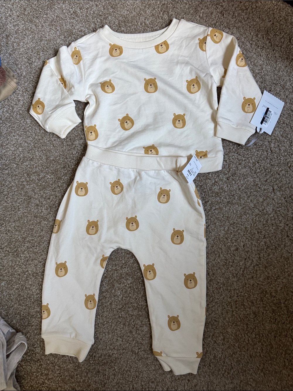 Cloud Island Bear Set